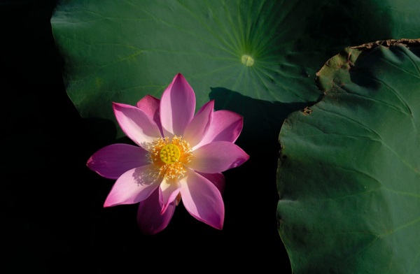 教师节走心贺卡文案祝福语2025年