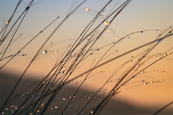 教师节赞扬祝福寄语文案 教师节创意祝福文案