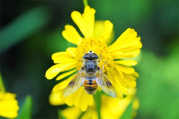 陈情令经典台词 陈情令经典台词配图(精选60句)