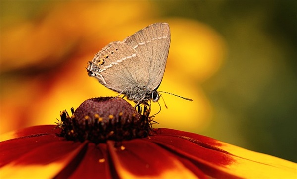 女主播个性签名简短 女主播的个性签名(精选78句)