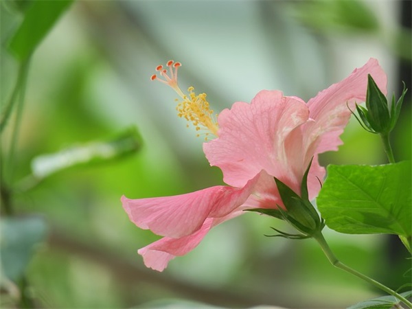 写给领导暖心的离职信(精选4篇)