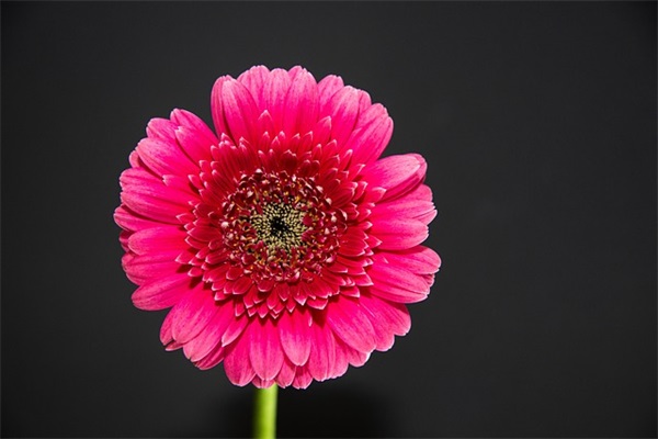 祖先的摇篮2、3段仿写(精选13篇)