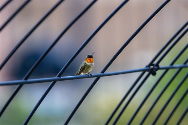 关于工程通知单模板(精选4篇)