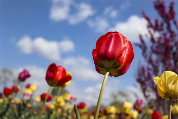 晚上向女友幽默打招呼汇总 晚上打招呼幽默问候语