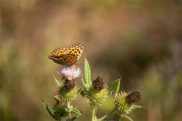 宝宝1周岁生日简短语 一周岁生日朋友圈文案