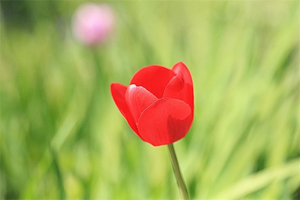 给运动员加油的口号 给足球运动员的加油口号