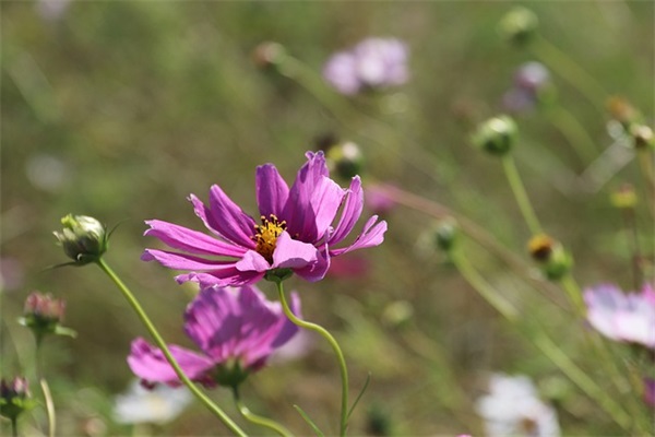 中介门店开业致辞(精选4篇)