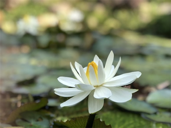 一场意外(精选2篇)