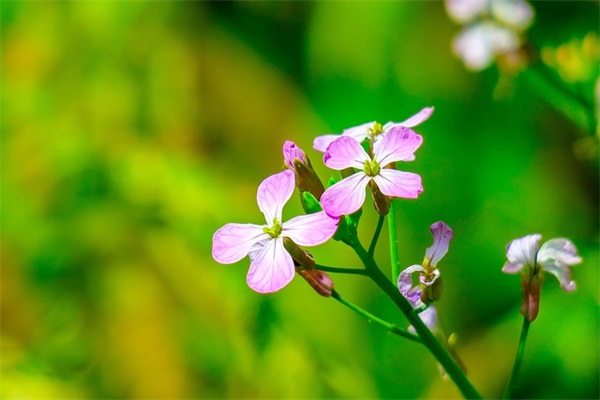 读《雾都孤儿》有感350字