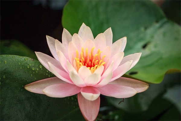 鼓励孩子晨读经典语句 鼓励孩子晨读的一段话