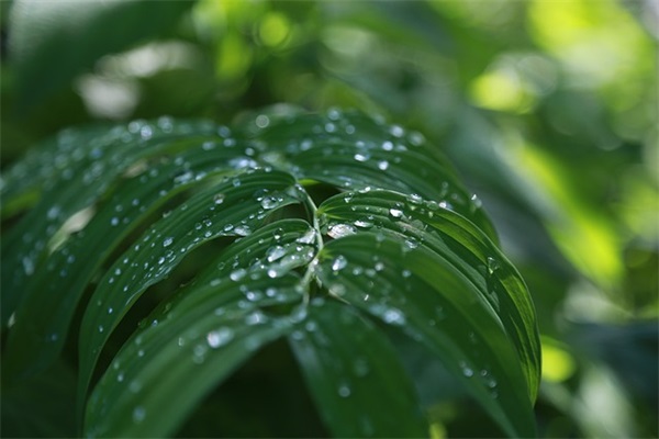 甜蜜的文案句子(甜蜜感情文案句子)
