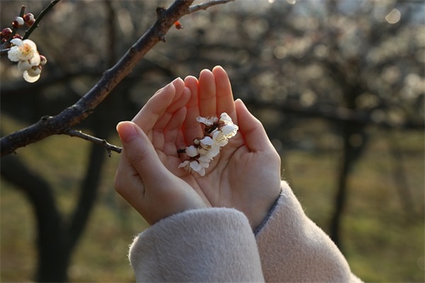 写老师的优美句子