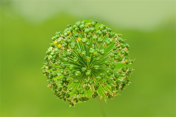 晚安简短心语句子大全