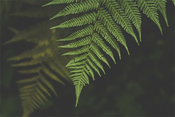 中秋节祝福句子文案
