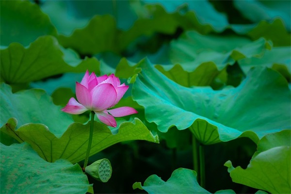 祝福抗击疫情医护人员的励志句子