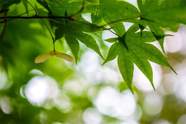 祝高考加油的文案(祝福高考加油的文案)