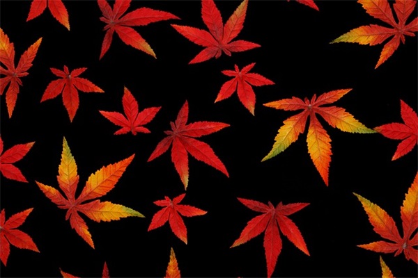 卫浴话术经典语句 保险话术经典语句(精选47句)