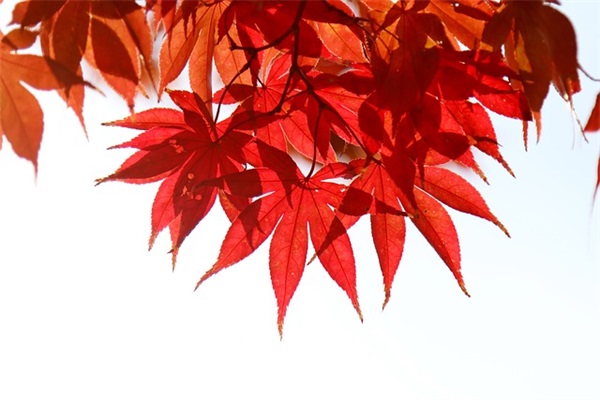 卫生与健康(精选2篇)