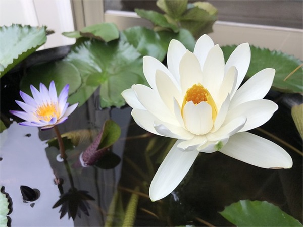 最难回答的真心话问题 怎么问真心话最难回答