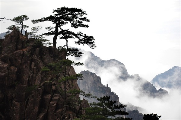 质量管理专员都有哪些岗位职责(精选3篇)