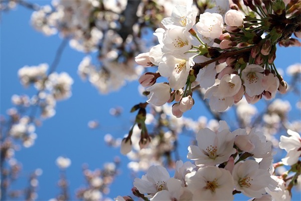 对宝宝的祝福语简短71句