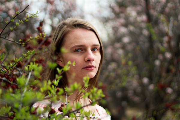 送老师百合花祝福语55句