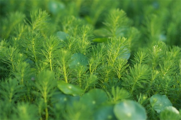 9月你好祝福贺词文案 12月你好文案