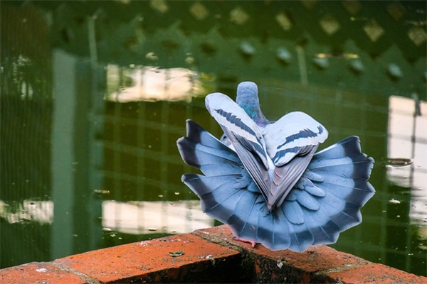 女儿考了好成绩祝福语57句