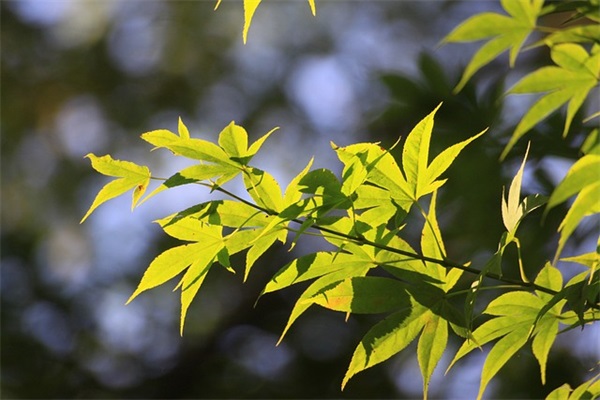团队精神重要性范例6篇
