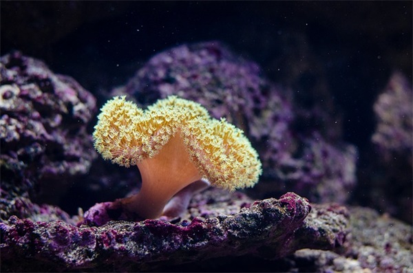 人力资源管理学论文范例6篇