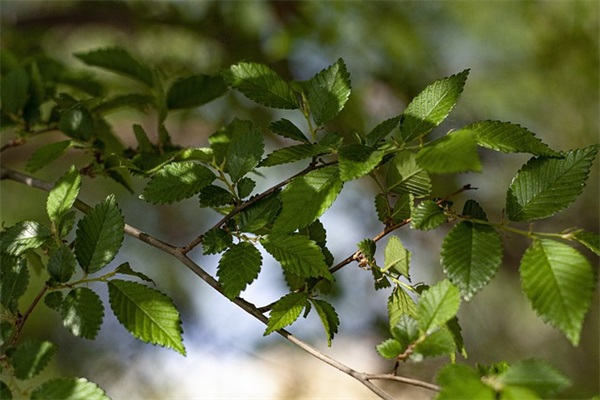 什么是整万数范例6篇