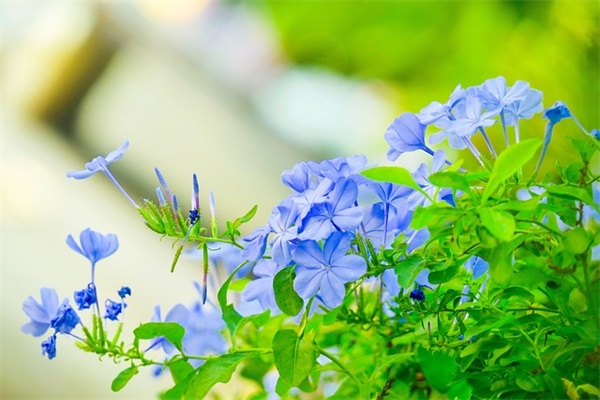 夜晚坚持奋斗的励志的句子 形容半夜还在努力奋斗的短句