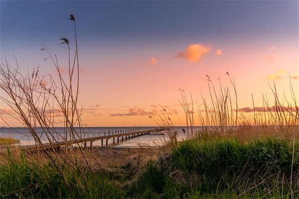 关于喜欢的句子