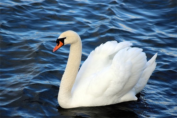 打起精神积极工作的句子 打起精神励志的句子