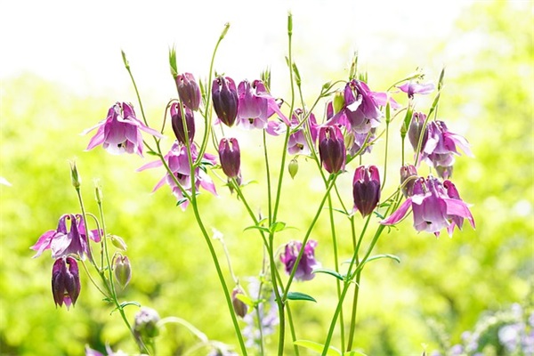 早安励志正能量的句子 清晨励志正能量的句子