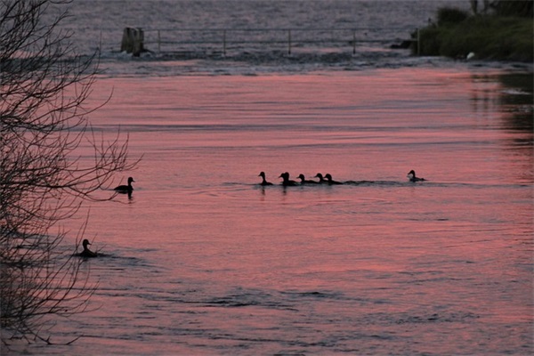 2025爱情成熟的句子 2025爱情蜜语