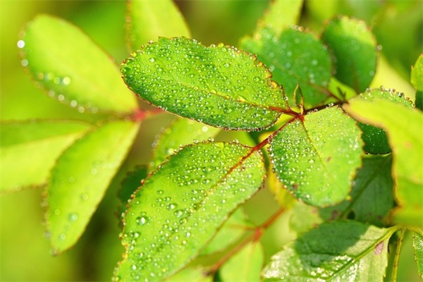 集中学习材料范例6篇