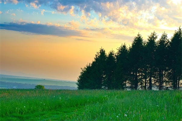 多媒体教学论文范例6篇