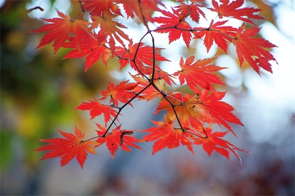 基层工会经费收支管理办法范例6篇