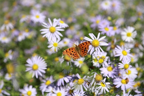 如何增强创新意识范例6篇