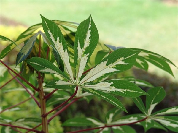 规范行政执法行为方案范例6篇