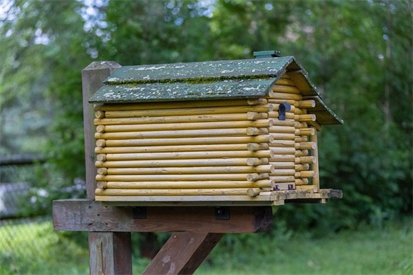 明信片寄语100句