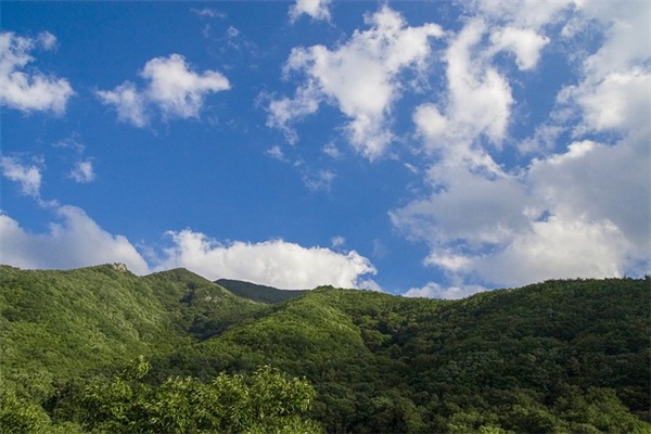 一段抒情的话78句