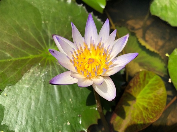 2025年最新搞笑段子100句