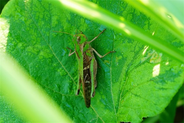 夫妻相处之道人生感悟