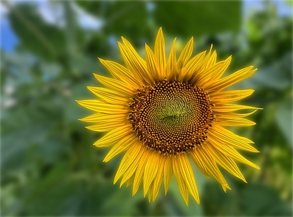 描写大海的名句84句