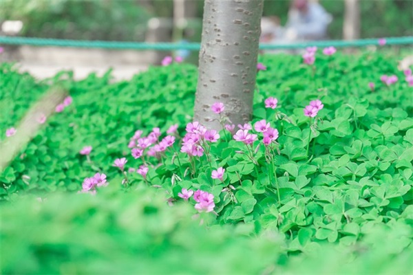 qq留言板留言关心的话100句