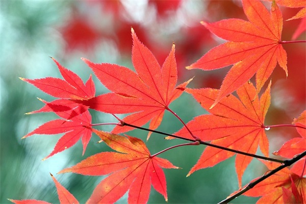 找个网名大全简单好听男生