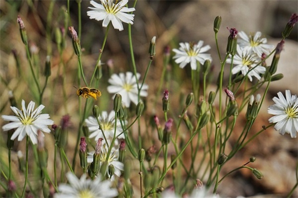 两字古风女网名