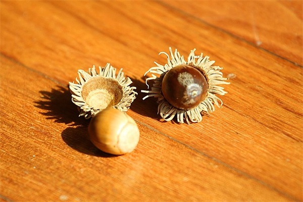 陈长生qq网名爱心